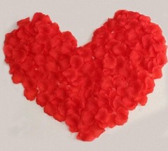 800 Pc Rose Petals, Dark Red Petals For Romantic Night Valentine/birthday/propos