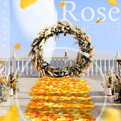 2000 Pcs Orange Yellow Rose Petal for Wedding Decorations Fake Silk Rose Flower