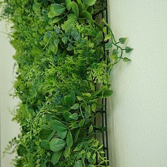 4 Green Medium Boxwood and Fern Leaves Wall Backdrop Panels Wedding Party