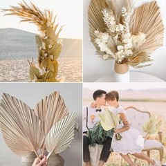 Natural Dried Palm Leaves, 17.3 Inch, 10 Pieces, Beige and Brown, for Wedding