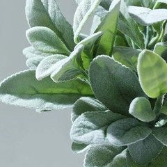 20 Stemmed Frosted Green Artificial Lambs Ear Leaf Indoor Plant, Faux Bush