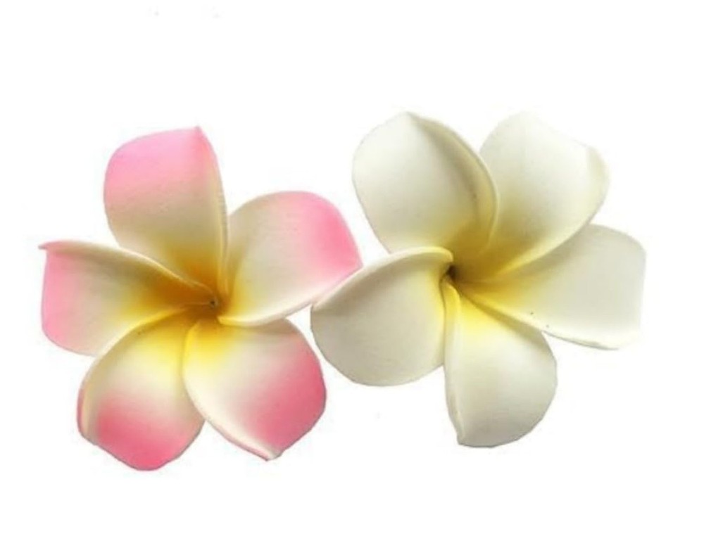 2 Pcs 2.7 Inch Plumeria Hair Clip Hawaiian Foam Flower Hair Clips Frangipani …