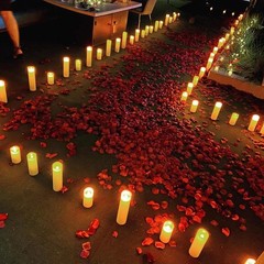 1000 Silk Red Rose Petals for Weddings & Celebrations, Fade-Resistant Elegance