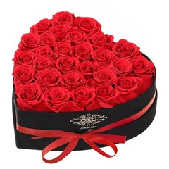 Mothers Day Roses Gifts for Mom,Forever Preserved Flowers 28 ROSE, Red