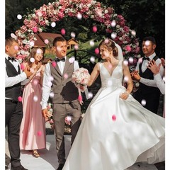 Artificial Silk Rose Petals Bulk 200 Pieces Pink Fake Flower Petals for Wedding