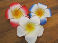 Frangipani Hairclips – colours & white – S – L