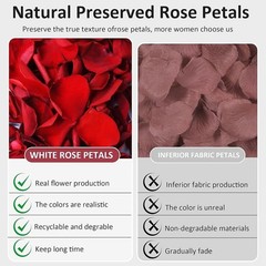 Natural Rose Petals Weddings Parties Crafts Romantic Decor Floral Arrangements