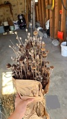 Dried Floral Bundle