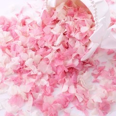 1500 Real Dried Hydrangea Flower Petals -1.06Oz Real Natural Preserved Petals