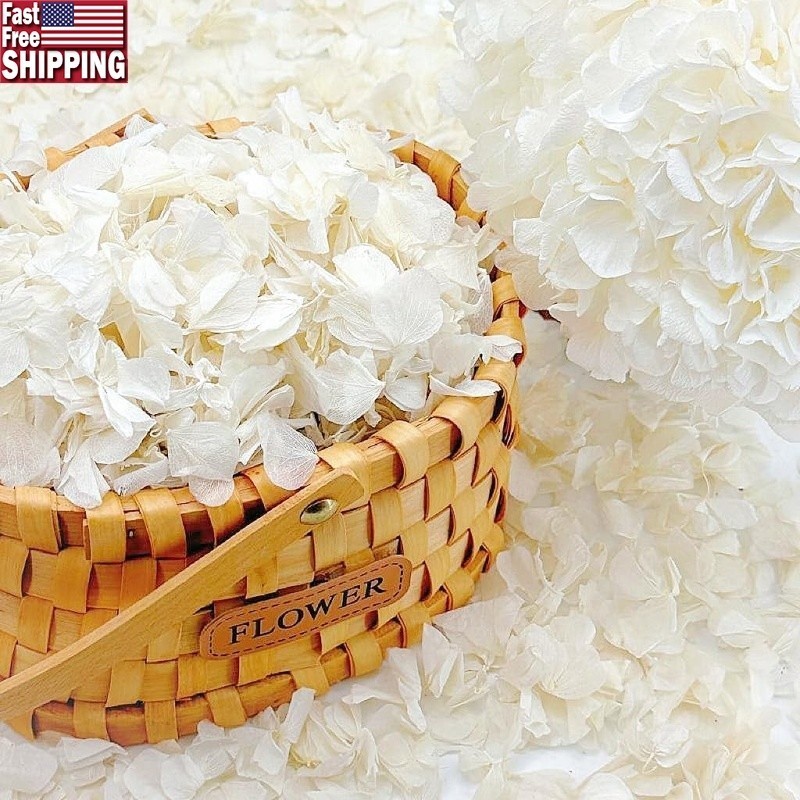 Natural Hydrangea Petals Wedding Decor Romantic Parties Reusable Eco-Friendly US
