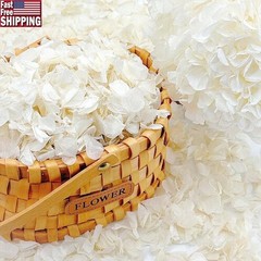 Natural Hydrangea Petals Wedding Decor Romantic Parties Reusable Eco-Friendly US