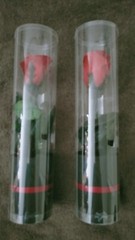 Preserved roses in a case (set of 2)