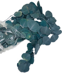 Eucalyptus Populus Dried & Fresh Wedding Home Décor Arrangement Party Baby Blue