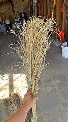 Dried Floral Bundle