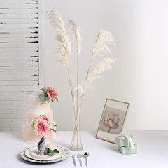 6 WHITE 32″ Natural Pampas Grass SPRAYS Dried Plant STEMS Party Home Decorations