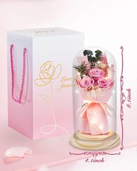 HVY Preserved Flowers Gifts for Her,Preserved Rose Bouquet in Glass Pink