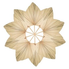 Natural Dried Palm Leaves, 17.3 Inch, 10 Pieces, Beige and Brown, for Wedding