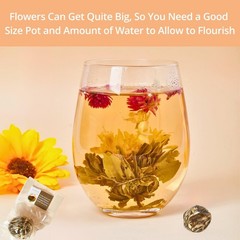 Blooming Tea Gift Set, 10 Unique Varieties Flowering Balls, VitalForest…