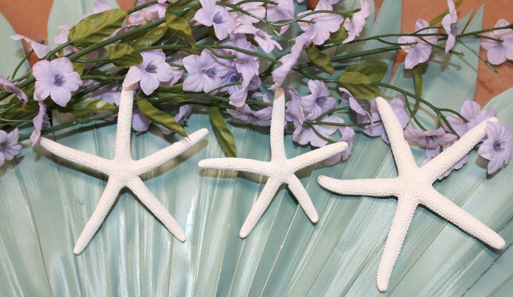 10-SMALL White Finger Starfish, 2″-3″,Beach Decor,Wedding flower supply,SS-589