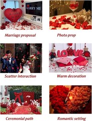 4500PCS Dark Red Artificial Rose Petals Romantic Night Wedding Party Anniversary