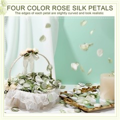 600pcs Silk Rose Petals Gold Yarn Flower Petals for Wedding Flower Sage Green