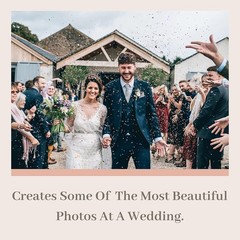Captivating 50 Pack of Biodegradable Flower Petals for Eco-Friendly Weddings