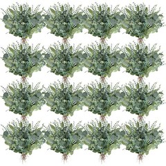 Pcs 2 Kinds Mixed Bulk Artificial Silver Dollar Eucalyptus Leaves 300 Green