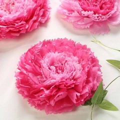 12 pack 7″ 9″ 11″ Fuchsia and Pink Tissue Paper Carnation Flowers Home Backdrop