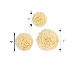 24 pack 7″ 9″ 11″ Ivory and Cream Tissue Paper Carnation Flowers Home Backdrop