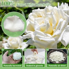 500+ PCS Preserved White Rose Petals for Wedding, Baby Shower, Table Decor