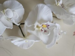 3 Stems Big Artificial Silk Orchid, Home/ Wedding Decoration 27″H Flower 3″ W