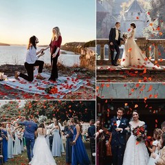 2000Pcs Red Artificial Fake Rose Petals Wedding Romantic Event Party Decor USA