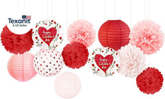 Valentine’S Day Decorations, 12 PCS Pink Red Love Tissue Paper Pom Poms and Lant