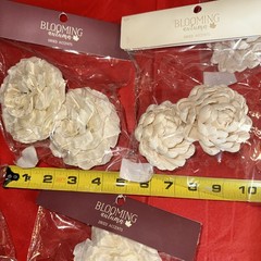 Sola Wood Flowers By Blooming Autumn NIP 20 Cream Flowers (10 Packs)