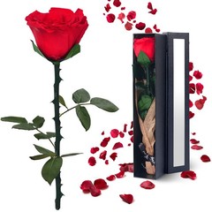 Preserved Flowers Gifts for Women: Valentines Day Mothers Day Birthday Chri