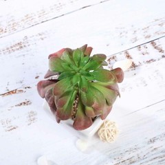 3 Assorted 5″ Faux Echeveria Succulent Plants Off White Pots Wedding Party