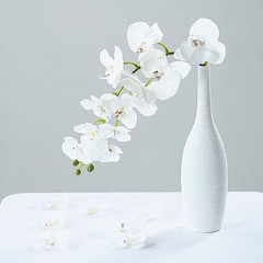 20 WHITE 4″ Faux SILK ORCHID FLOWER Heads Wedding Party Events Home Decorations