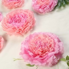 12 pack 12″ 16″ 20″ Blush and Pink Tissue Paper Carnation Flowers Home Backdrop