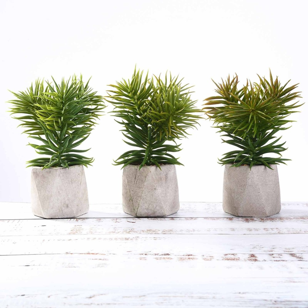 Set of 3 8″ tall Assorted Faux Cute Crassula Succulent Plants with Ceramic Pots