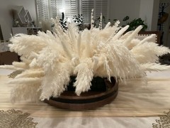 Pampas Grass Center Piece/wall Decor