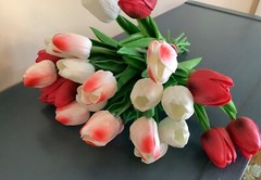 24 stems red/white, red and white tulip bridal bouquet