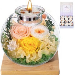 Mothers Day Rose Gifts Champagne Rose, Yellow Yellow-white Austin