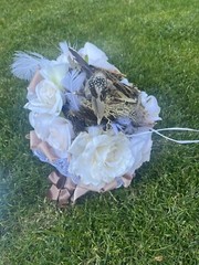 Wedding Bouquet Unique Bridal bouquet W/Birds Nest 🪺 Roses, Satin