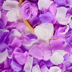 180 PCS Real Pink White Rose Flower Petals Confetti Wedding to Throw 1.75oz