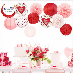 Valentine’S Day Decorations, 12 PCS Pink Red Love Tissue Paper Pom Poms and Lant