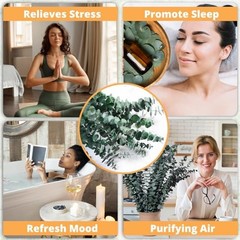 24 Pcs Dried Eucalyptus for Shower Hanging – 17” Real Large Preserved 24 PCS