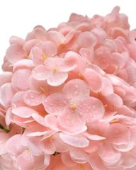 3Pcs Real Touch Hydrangea Artificial Flowers – 16.7″ 3D Latex Light – Pink