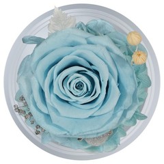 Sunia Valentines Day Rose Gifts for Women, Birthday Mom Grey Blue