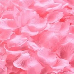 1000pcs Rose Petal Hand Sprinkled Flowers Wedding Room Decoration