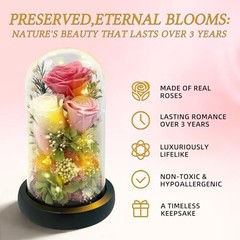 Preserved Pink Rose in Glass Dome with LED Lights – Forever